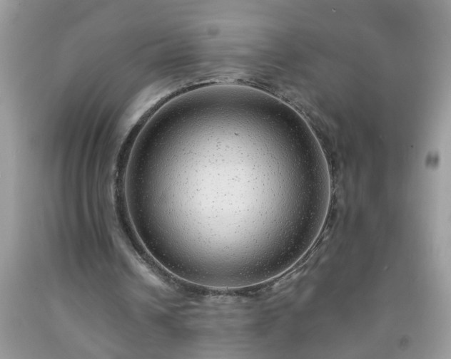 X0000092040242200709191106