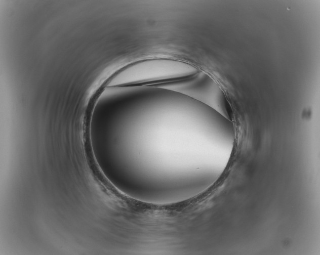 X0000092040244200709191106