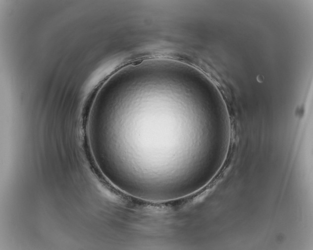 X0000092040245200709191106