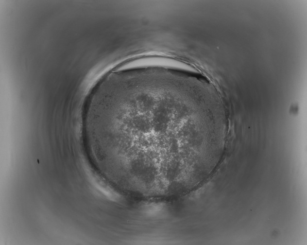 X0000092040247200709191106