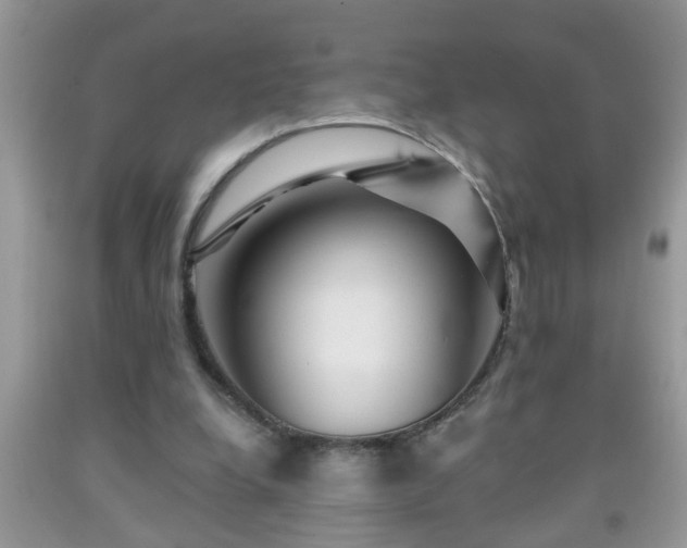 X0000092040248200709191106