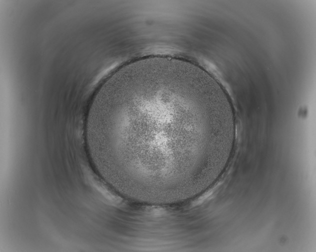 X0000092040249200709191106