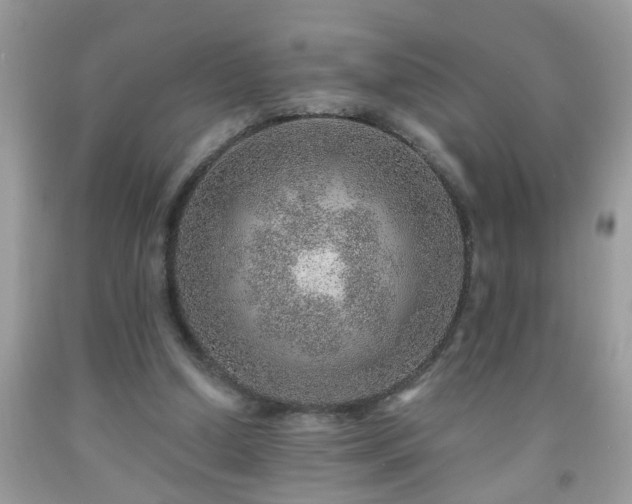 X0000092040250200709191106