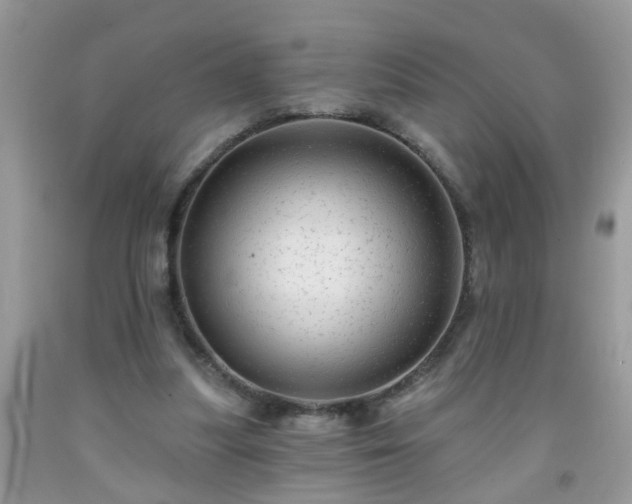 X0000092040251200709191106