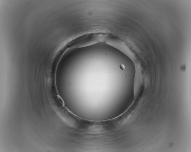 X0000092040252200709191106