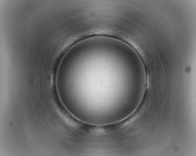 X0000092040253200709191106