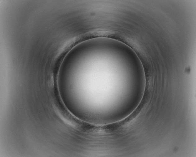 X0000092040254200709191106