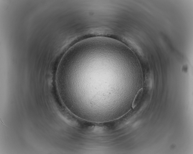 X0000092040255200709191106