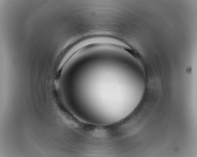 X0000092040256200709191106