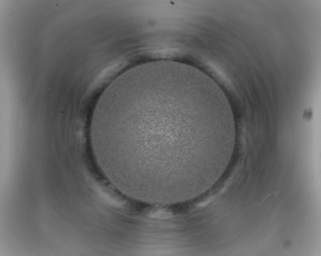 X0000092040258200709191106