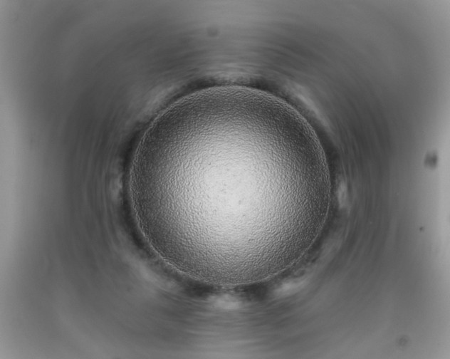 X0000092040259200709191106