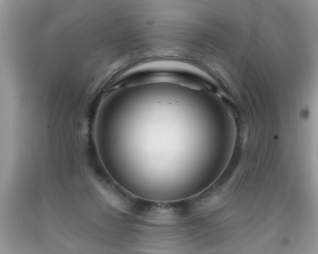 X0000092040260200709191106