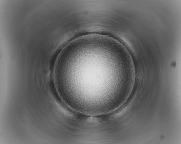 X0000092040261200709191106