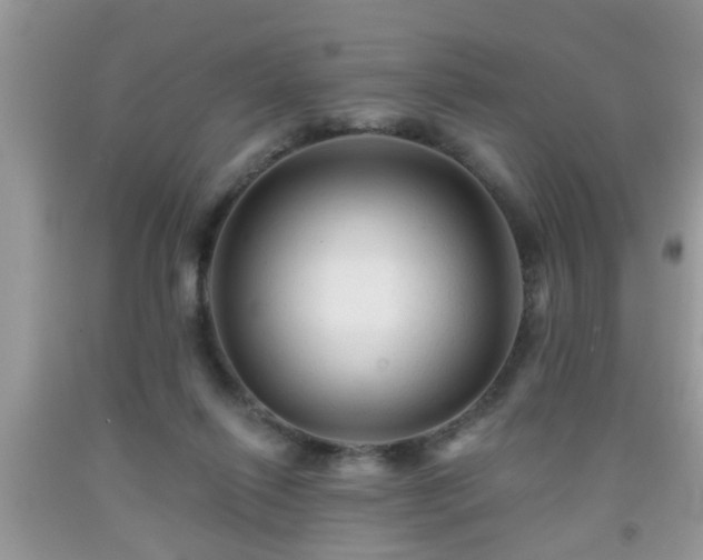 X0000092040262200709191106