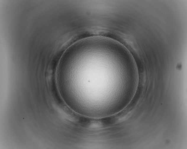 X0000092040263200709191106