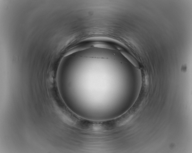 X0000092040264200709191106