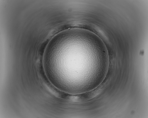 X0000092040265200709191106