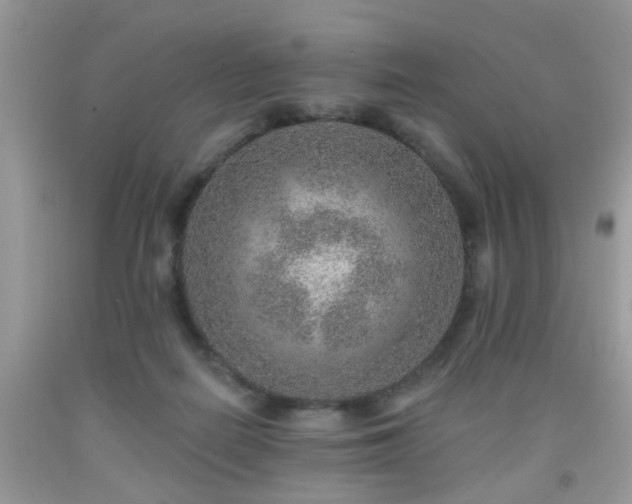 X0000092040266200709191106