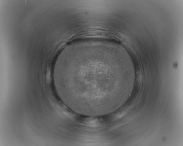 X0000092040267200709191106