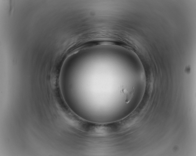 X0000092040268200709191106