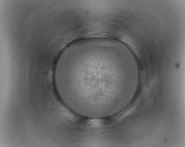 X0000092040269200709191106