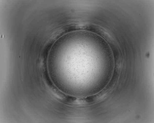 X0000092040270200709191106