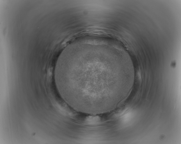 X0000092040271200709191106