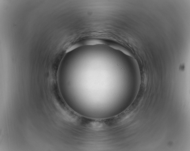 X0000092040272200709191106