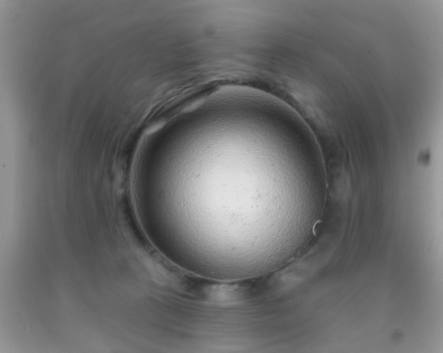 X0000092040273200709191106