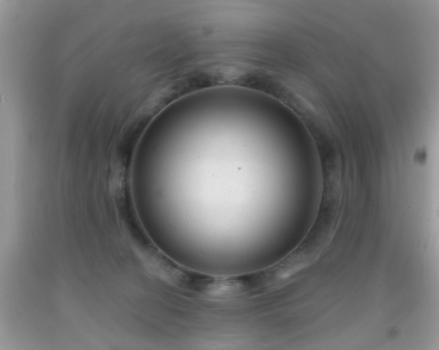 X0000092040274200709191106