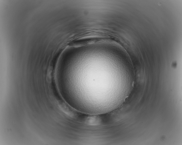 X0000092040275200709191106