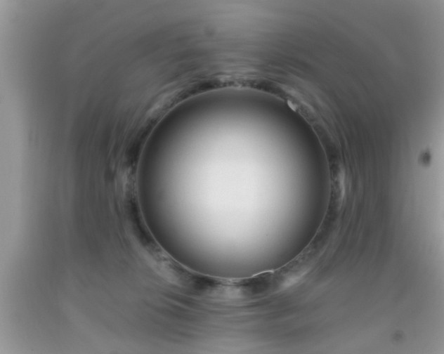 X0000092040276200709191106