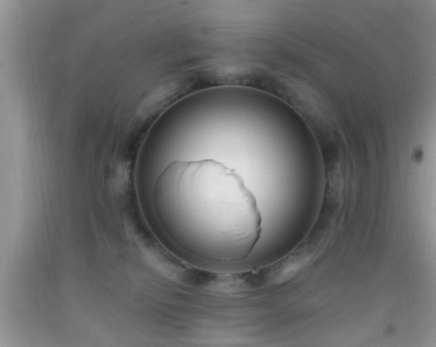 X0000092040278200709191106