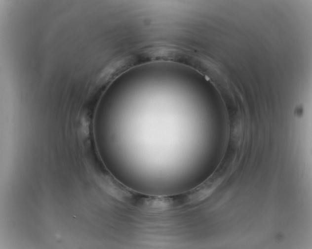 X0000092040282200709191106