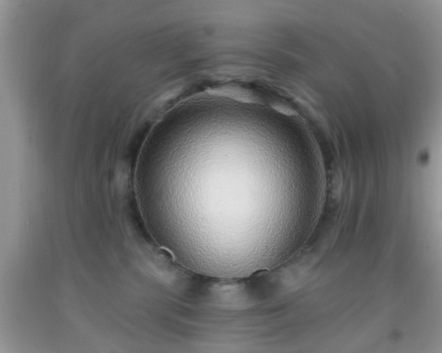 X0000092040283200709191106