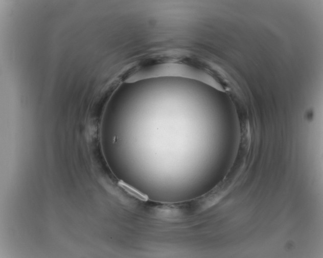 X0000092040284200709191106