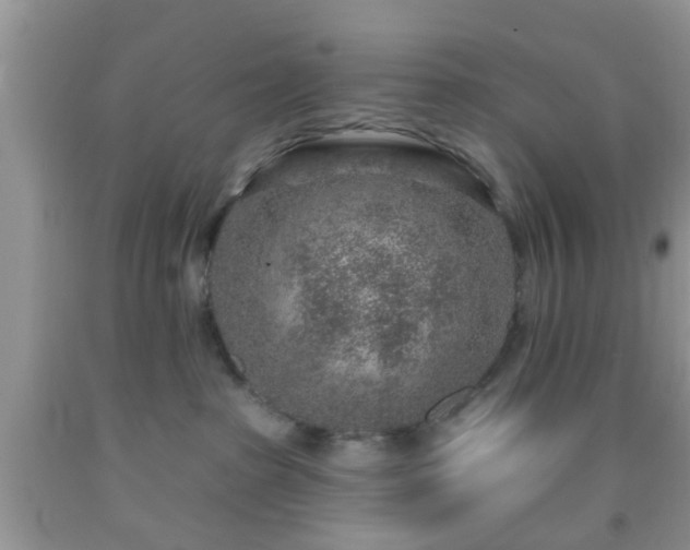 X0000092040285200709191106