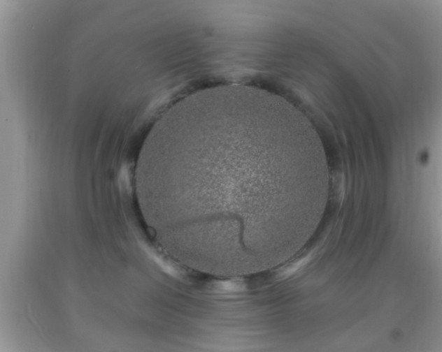 X0000092040286200709191106