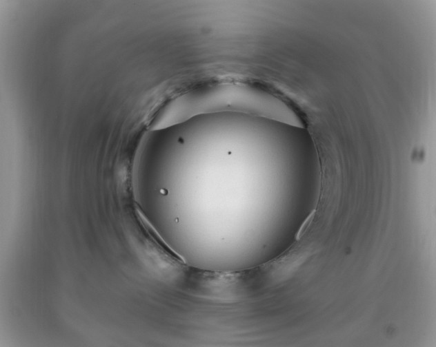 X0000092040288200709191106