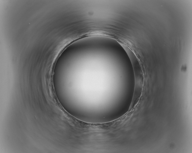 X0000092040289200709191106