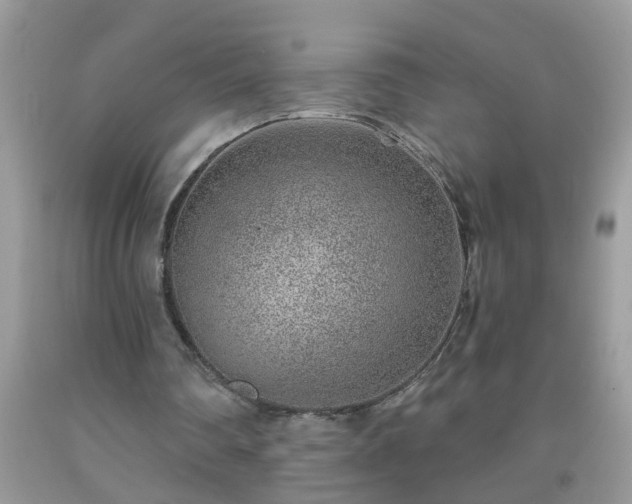 X0000092040290200709191106