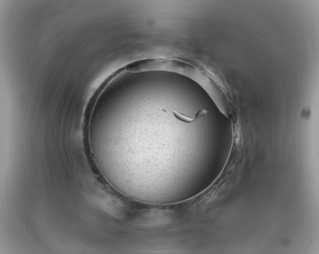 X0000092040292200709191106