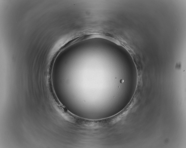 X0000092040293200709191106