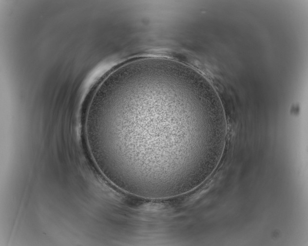 X0000092040294200709191106