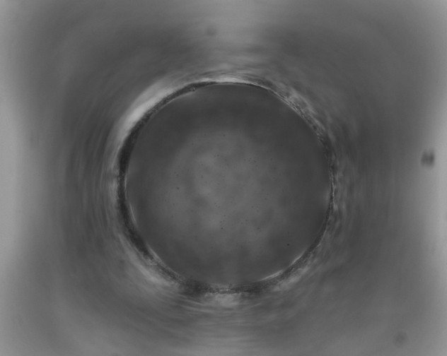 X0000092040295200709191106