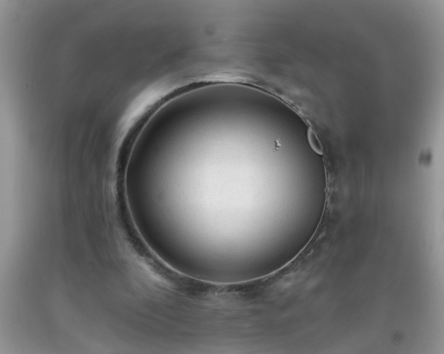 X0000092040296200709191106