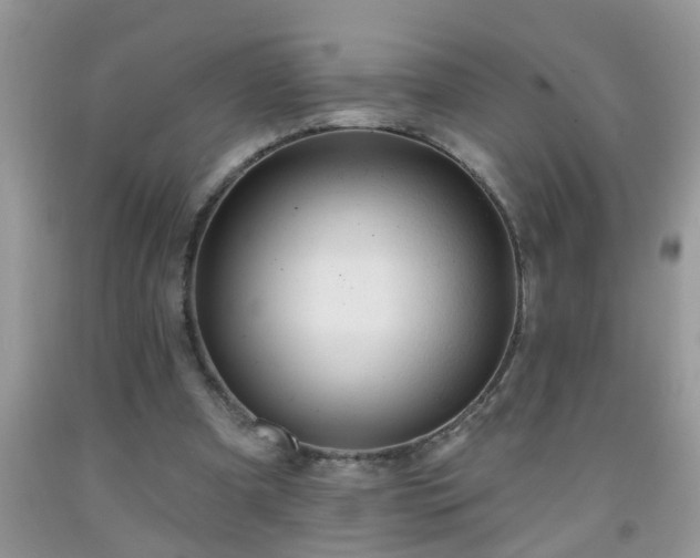 X0000092040297200709191106