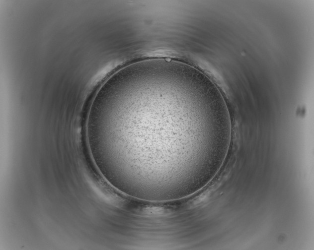 X0000092040298200709191106