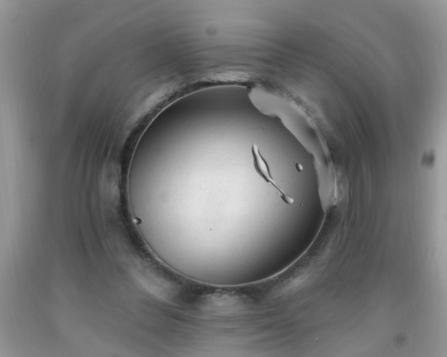 X0000092040300200709191106