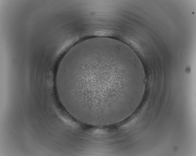 X0000092040303200709191106